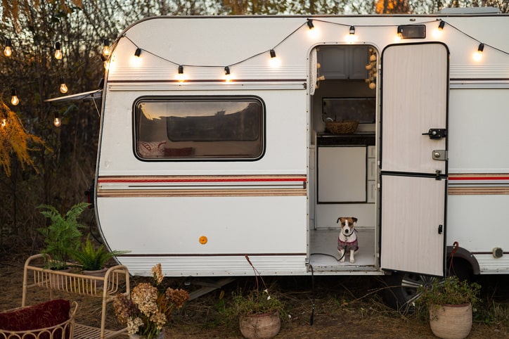 RV with string lights with door open and a small Jack Russel dog standing inside.